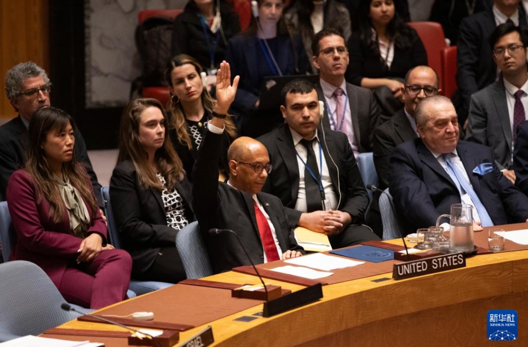 yy易游-龙珠大特兰克斯